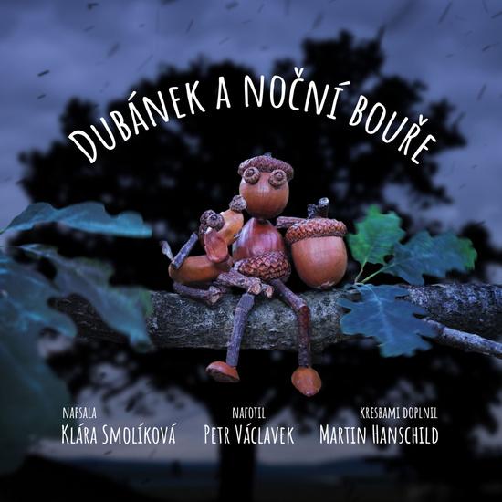 Dubánek a noční bouře - 9788011035259