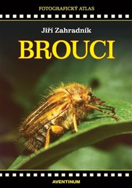 Brouci - 9788074421464