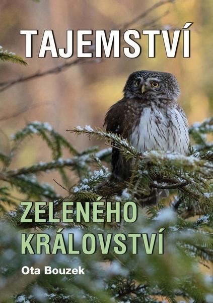 Levně Tajemství zeleného království