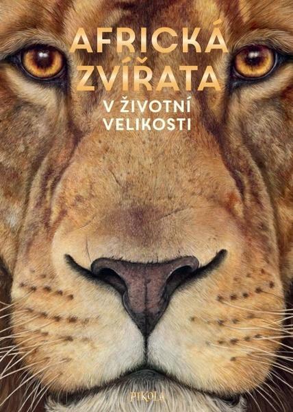 Africká zvířata V životní velikosti - 9788024292540