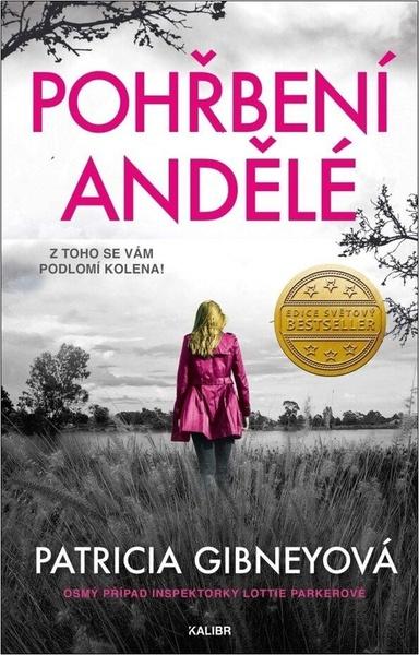 Pohřbení andělé - 9788024293714