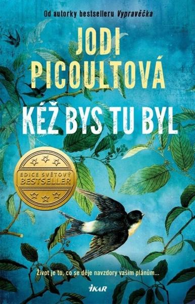 Kéž bys tu byl - 9788024952208