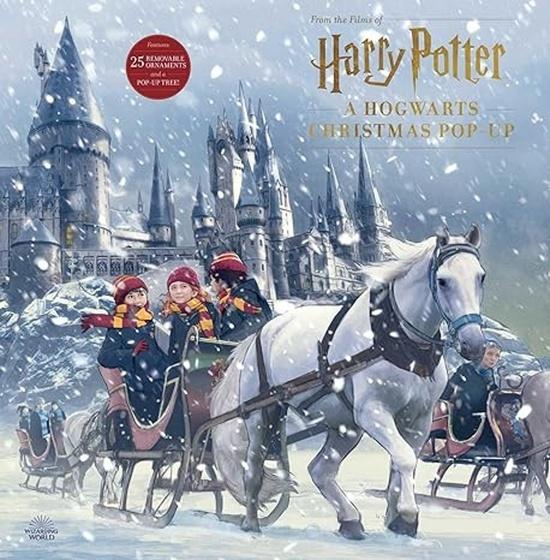Levně Harry Potter: A Hogwarts Christmas Pop-up