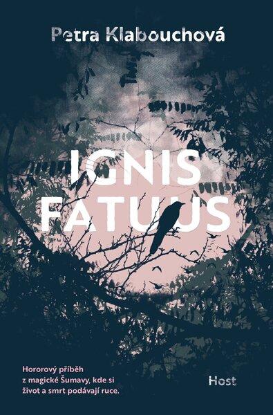 Ignis fatuus - 9788027520459