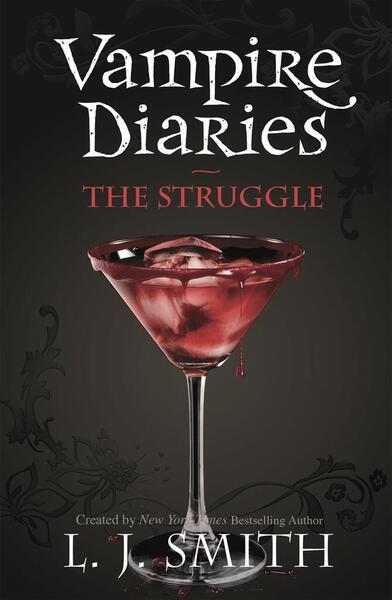 Levně Vampire Diaries 02. The Struggle