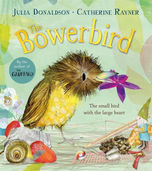 The Bowerbird - 1529092256