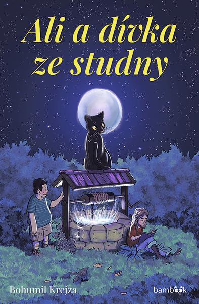 Ali a dívka ze studny - 9788024753492