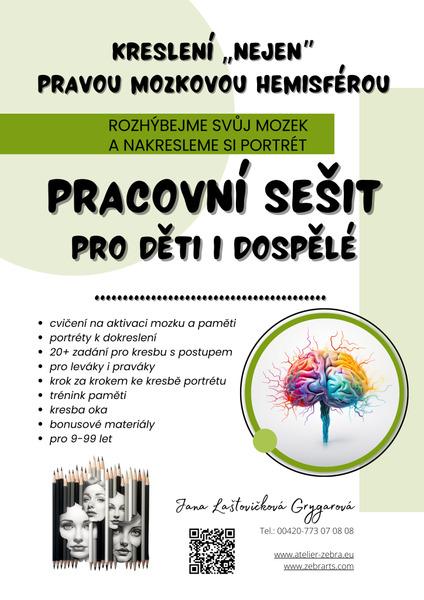 Kreslení „nejen” pravou mozkovou hemisférou - 9788011041649