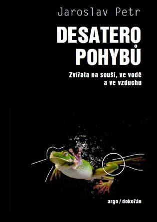 Levně Desatero pohybů