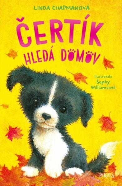 Čertík hledá domov - 9788024296227