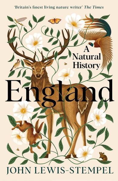 England - 0857526472