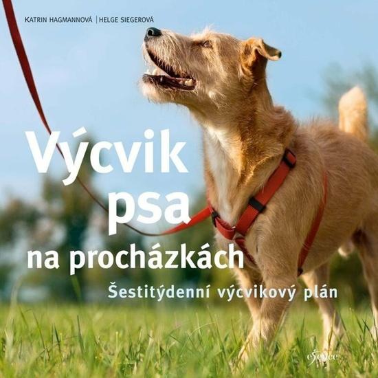 Levně Výcvik psa na procházkách