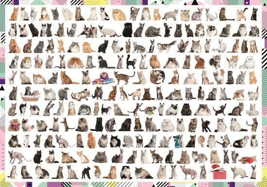 TREFL Puzzle 208 koček 1000 dílků - 10498