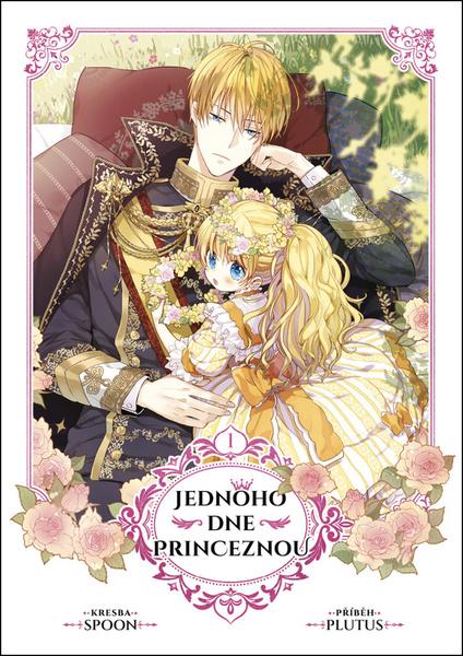 Jednoho dne princeznou - 9788027740598