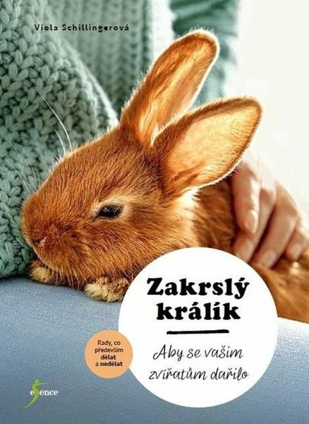 Levně Zakrslý králík