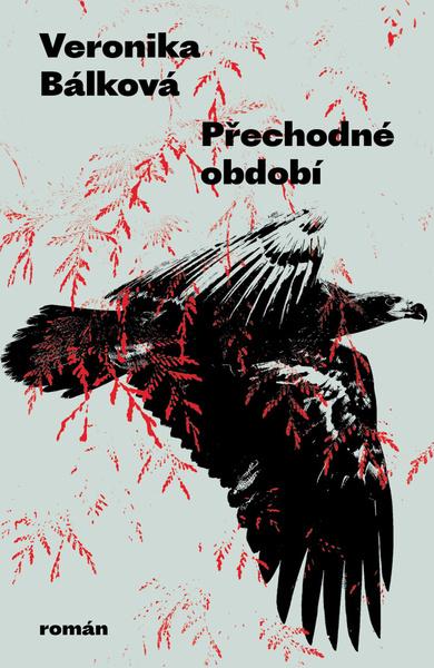 Levně Přechodné období