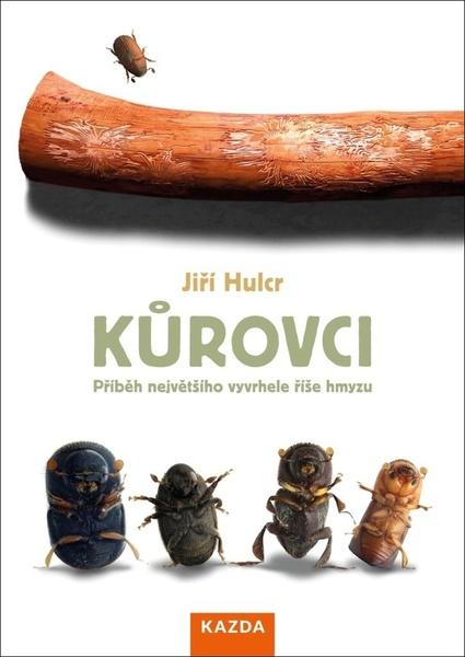 Levně Kůrovci