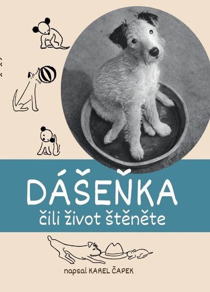 Dášeňka - 9788076392441