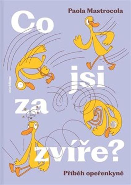Co jsi za zvíře? - 9788090908024