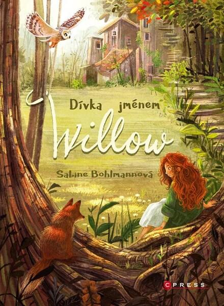 Dívka jménem Willow - 9788026452812