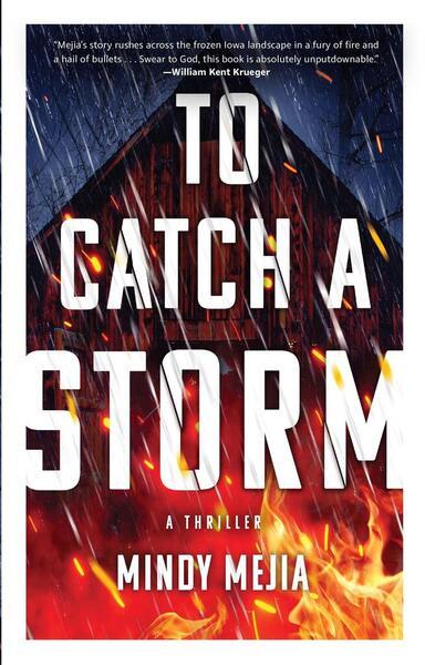 To Catch a Storm - 0802163424