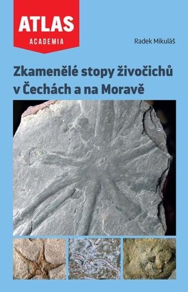 Levně Zkamenělé stopy živočichů v Čechách a na Moravě