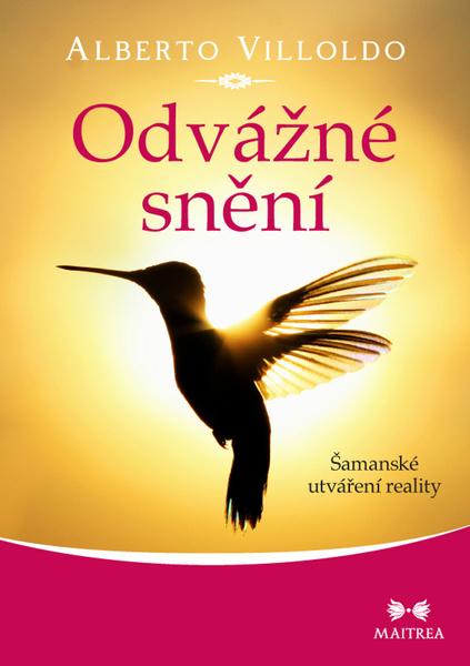 Levně Odvážné snění