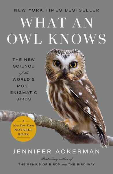 Levně What an Owl Knows
