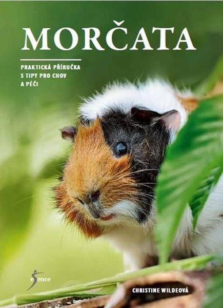 Morčata - 9788024297095