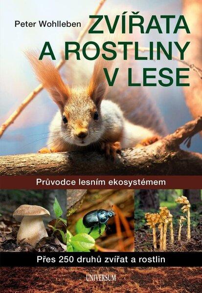 Levně Zvířata a rostliny v lese