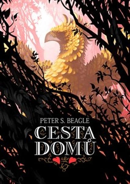 Levně Cesta domů