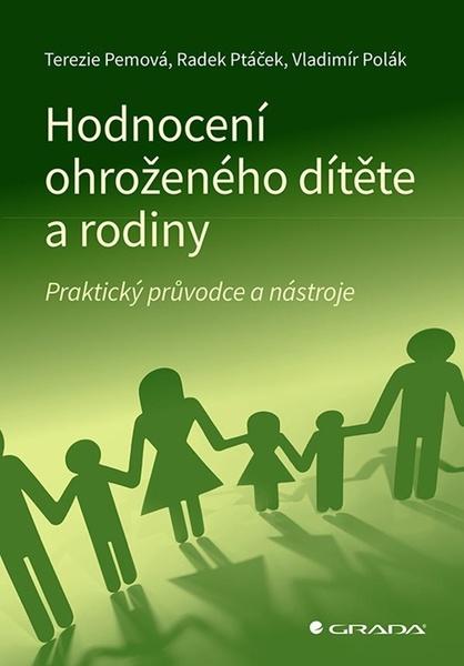 Hodnocení ohroženého dítěte a rodiny - 9788027139330