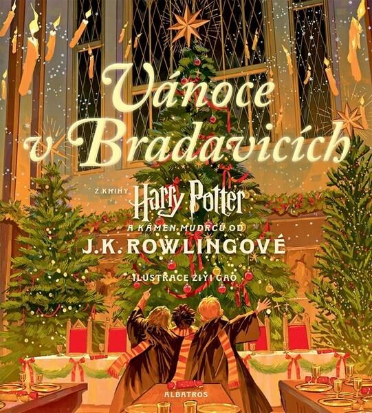 Levně Harry Potter Vánoce v Bradavicích