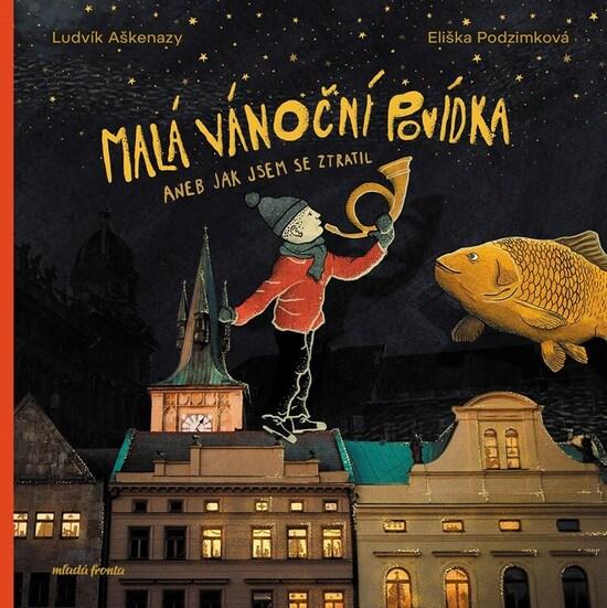 Malá vánoční povídka - 9788020464125