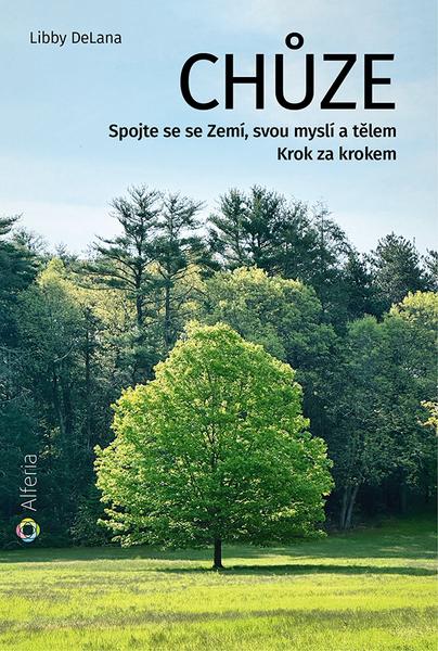 Chůze - 9788027154081