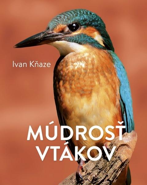 Múdrosť vtákov - 9788055190846