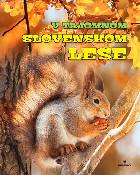 Levně V tajomnom slovenskom lese