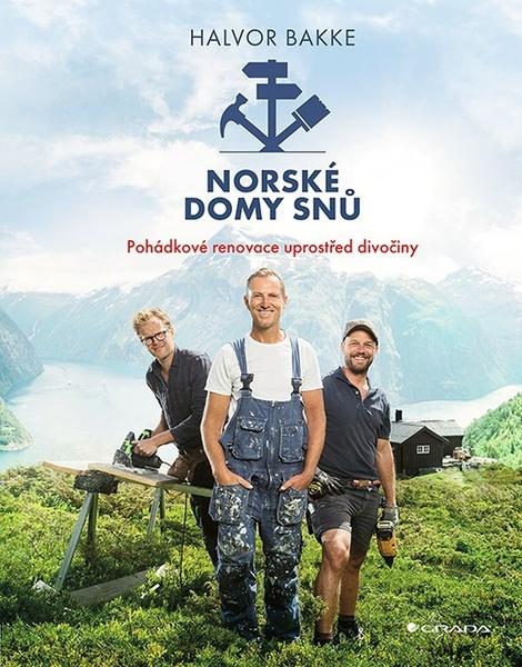 Levně Norské domy snů