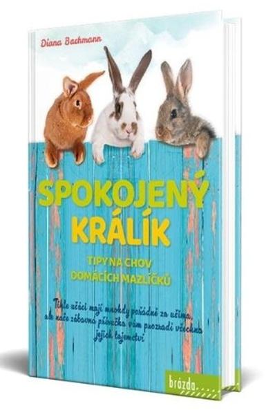 Levně Spokojený králík