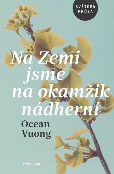 Levně Na Zemi jsme na okamžik nádherní