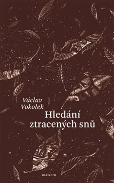 Levně Hledání ztracených snů