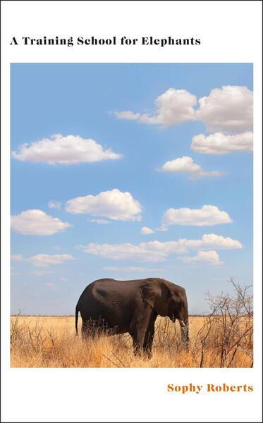 A Training School for Elephants - 0857528386