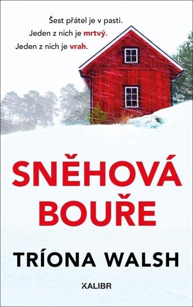 Sněhová bouře - 9788024298931
