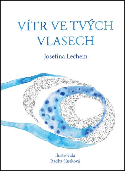 Vítr ve tvých vlasech - 9788074656521
