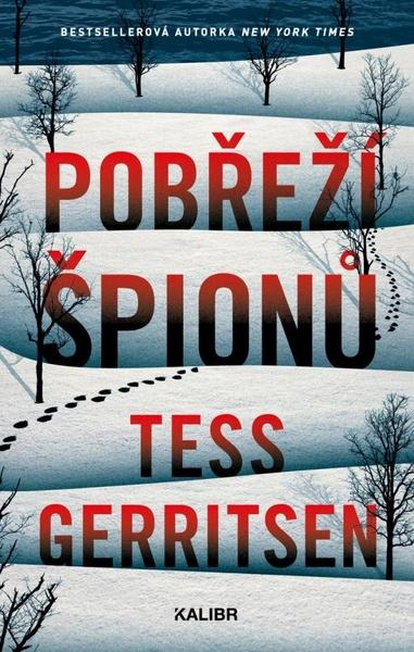 Pobřeží špionů - 9788028401054