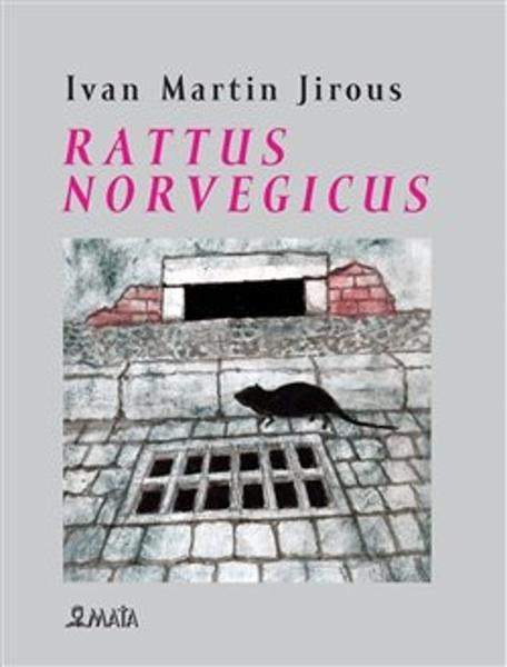 Levně Rattus norvegicus
