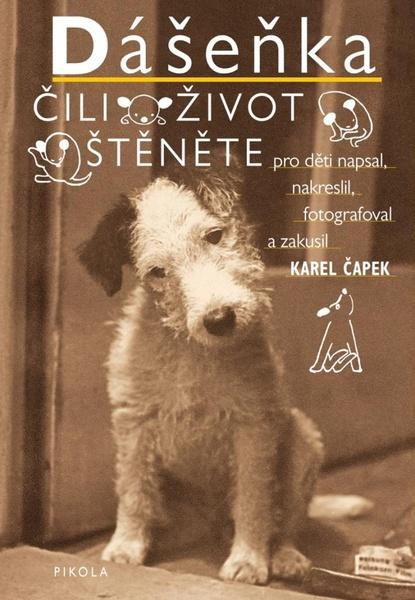 Dášeňka čili Život štěněte - 9788028401436