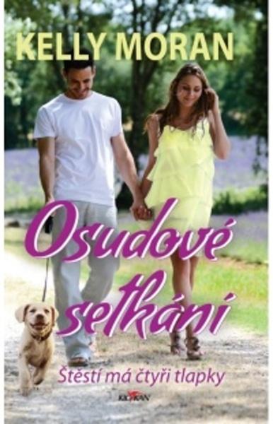 Levně Osudové setkání