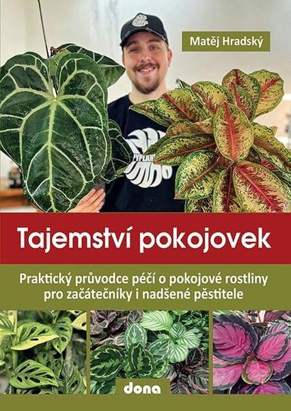 Levně Tajemství pokojovek