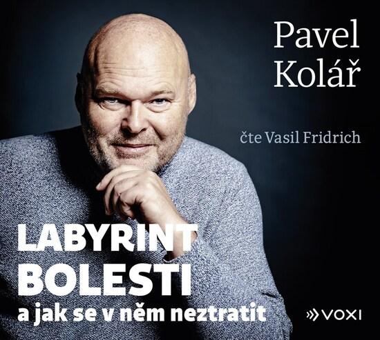 Levně Labyrint bolesti